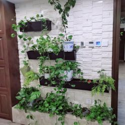 -青青一生美皮肤管理