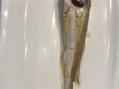 -潮汕味道·煮海餐厅(金麟大厦店)