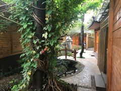 -山大王菌莊