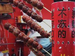 -和禄德冰糖葫芦