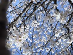 -中国海洋大学（崂山校区）-图书馆