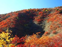 -水峪民俗村