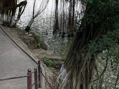 -珠海圆明新园