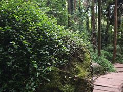 -青城山