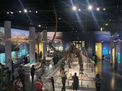 -国家自然博物馆