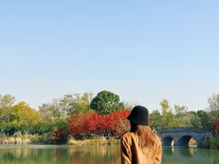 -梁鸿国家湿地公园