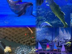 -海合安武汉极地海洋公园