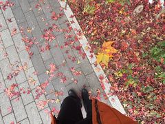 -西二旗(地铁站)