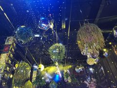 -胡桃里音乐酒馆(四道口店)