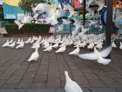-海合安武汉极地海洋公园
