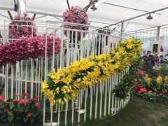 -上海鲜花港