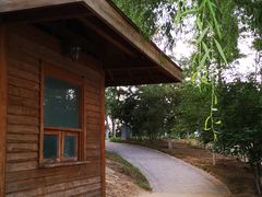 -大兴滨河森林公园