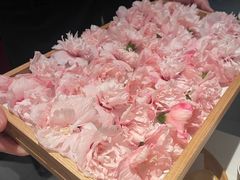-炳胜品味(深圳万象城店（罗湖）)