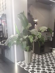 -老肖男士理发店