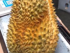 -上海龙吴水胜海发市场