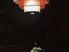 -宏宴·新京菜(望京店)