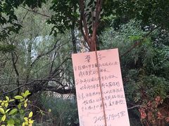 -河南省人民医院(院本部)