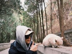 -四门塔风景区