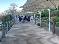 -企鹅岛