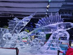 -宁波冰雪大世界(北仑区)