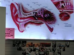 -自然之声助听器(平凉店)
