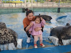 -芜湖新华联大白鲸海洋公园