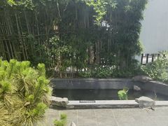 -汤宴·参须肚包鸡(南京路店)