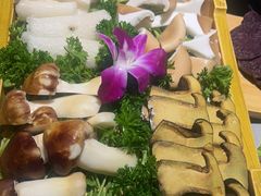 -慢丽江·云南野生菌土鸡锅(付家庄店)