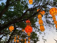 -夫子庙秦淮河画舫