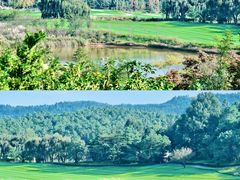 -阳光高尔夫俱乐部