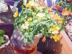 -青沐画室·专业美术培训