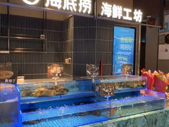 -海底捞火锅(长宁路龙之梦店)