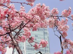 -静安雕塑公园