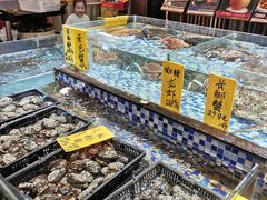 水产区-丽景酒楼·佛山老字号(广佛智城店)