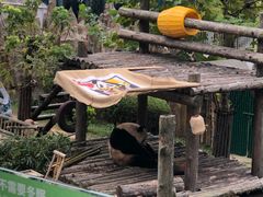 -大连森林动物园