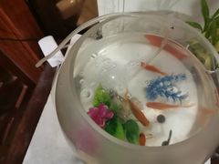 -裕和堂中医推拿艾灸(太古汇臻品店)