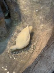 -Zoolung Zoolung动物主题公园(海信广场店)