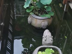 -三只耳火锅(宽窄巷子店)