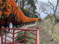 -桃花涧