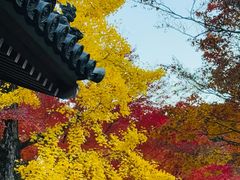 -常寂光寺