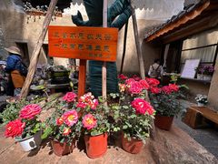 -寂照庵