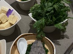 -海底捞火锅(龙岗星河COCO Park店)