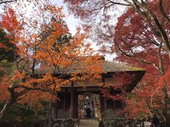-常寂光寺