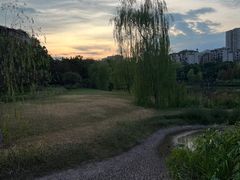 -沐仙湖湿地公园