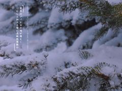 -南天湖景区