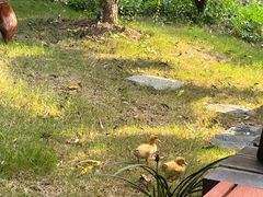 -小河无名面馆