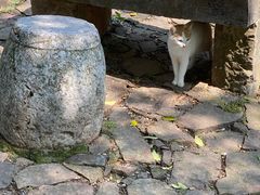 -雨花胜境