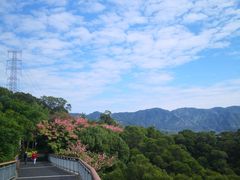 -金鸡山公园