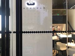 -BLACKSWAN黑天鹅(环球店)