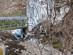-少华山国家森林公园